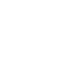 Vector Image 2